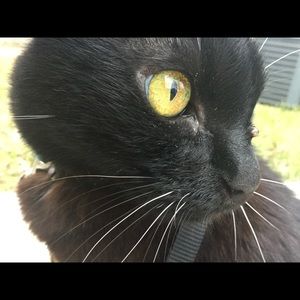 Meet your Posher, Maryam